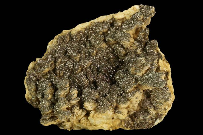 Pyrite Encrusted Barite Crystal Cluster - Poland (New Find) #130504